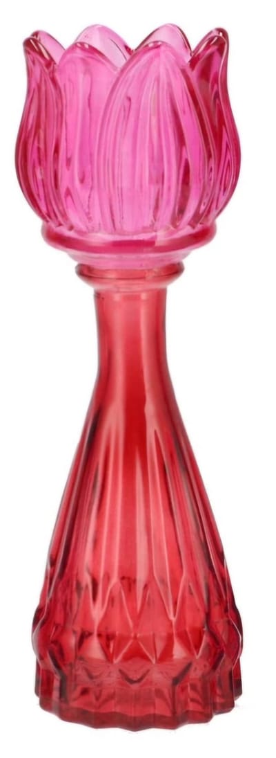 Bicolore dutch pink mix tulip vase 7x22cm