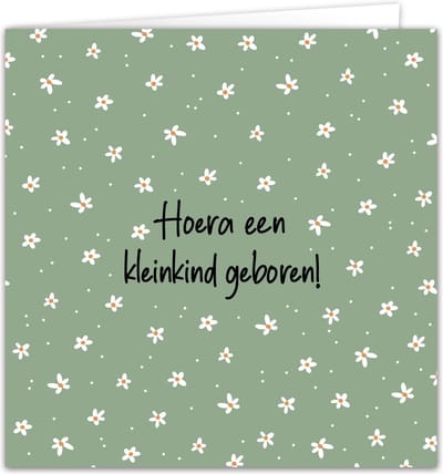 Wenskaart 'Hoera Kleinkind geboren' inclusief envelop - Kaart geboorte - Opa en oma