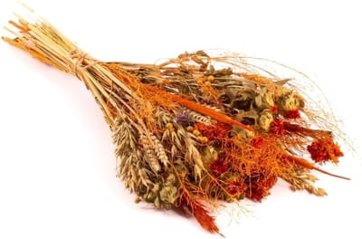 Gedroogd Arenboeket - Droogboeket COVENTINA - Woondecoratie - Natuurlijke Kleuren - 65 cm - Oranje