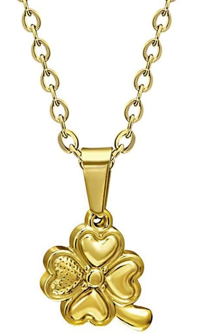 Amanto ketting Camon - 316L Staal - Klaver - ∅15 mm - 45cm