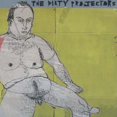 The Dirty Projectors - The Glad Fact (CD)