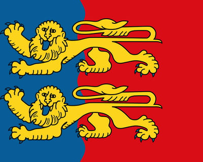 Vlag Manche 100x150cm