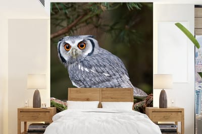 Behang - Fotobehang Uil - Vogel - Takken - Natuur - Breedte 195 cm x hoogte 260 cm