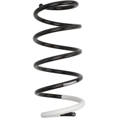 Chassisveer SACHS 993 596