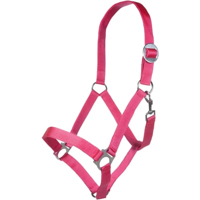 Halster voor paarden HKM Stars Economy