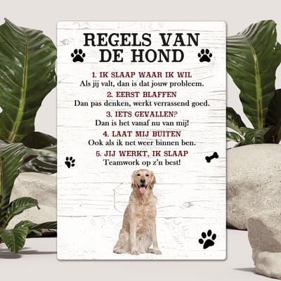 Spreuken - Golden Retriever - Regels Van De Hond - Spreuken Bordjes - Spreukenbord - Tekstborden - Cadeau - Hondenras