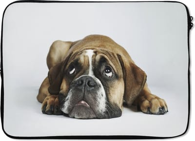 Laptophoes 14 inch - Hond - Huisdieren - Wit - Laptop sleeve - Binnenmaat 33x23 cm - Zwarte achterkant