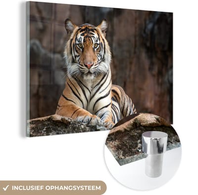 MuchoWow® Glasschilderij 60x40 cm - Schilderij acrylglas - Tijger - Rots - Bergen - Foto op glas - Schilderijen
