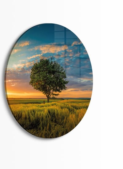 Indoorart - Muurcirkel Boom in de weide Plexiglas 30 cm - Wanddecoratie - Afbeelding op Plexiglas - Inclusief ophangplaat