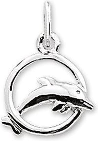 Zilver Gerhodineerd Hanger dolfijn - PSN1323145