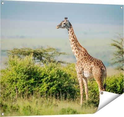 Gards Tuinposter Giraffe in het Wild tussen de Struiken - 100x80 cm - Tuindoek - Tuindecoratie - Wanddecoratie buiten - Tuinschilderij
