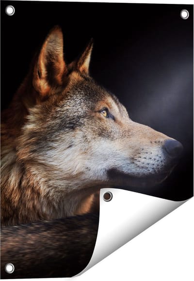 Gards Tuinposter Wolvenkop met een Zonnestraal - Wolf - 40x50 cm - Tuindoek - Tuindecoratie - Wanddecoratie buiten - Tuinschilderij