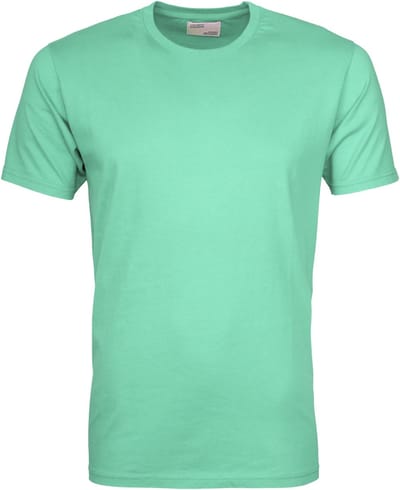 Colorful Standard T-shirt Faded Mint - Maat XL - Heren