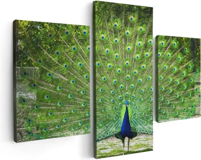 Artaza Canvas Schilderij Drieluik Pauw Met Grote Kleurrijke Veren - 90x60 - Foto Op Canvas - Canvas Print