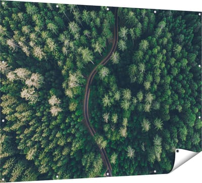 Gards Tuinposter Weg Door Bos met Bomen - Bovenaanzicht - 160x120 cm - Tuindoek - Tuindecoratie - Wanddecoratie buiten - Tuinschilderij