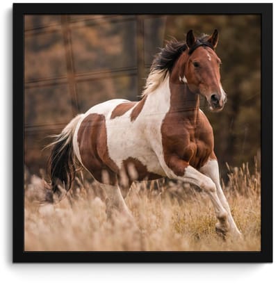 Poster in lijst - Fotolijst 40x40 cm - Posters - Paard - Bruin - Gras - Posterlijst zwart - Decoratie - Wanddecoratie woonkamer - Muurdecoratie slaapkamer