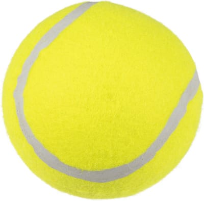 Flamingo Smash - Speelgoed Honden - Hs Tennisbal Smash Geel 9,5cm 1st - 1st