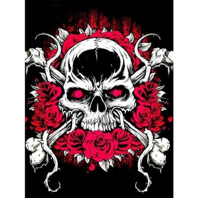 Diamond Skull DIY 5D Diamond Painting Cross Stitch Home Decor Foto van strass handgemaakt 20X30CM