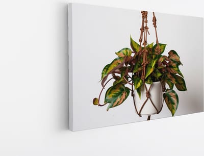Saammp Canvas Schilderij - Hangplant met Kleurrijke Bladeren - Natuur - Abstract - 30x20 - Foto op canvas - Wanddecoratie - Muurdecoratie Woonkamer - Kantoor Decoratie