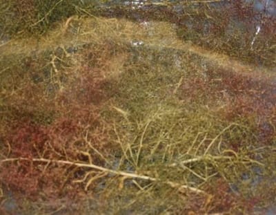 Joefix 905 Zeeschuim – Scenerymateriaal voor Modelbouw & Dioramas - Natuurgetrouw Scenerymateriaal