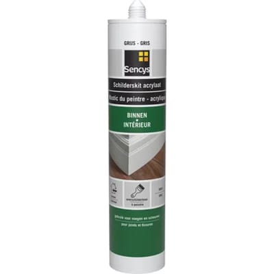 Sencys Schilderskit Grijs 310ml