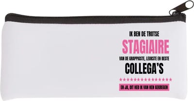 Akyol - de trotse stagiaire Etui - Stagiair - beste stagiaire - werk - afscheidscadeau - verjaardagscadeau - kado - 20 bij 9 cm