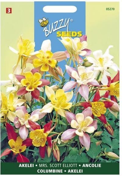 Buzzy - Akelie Mrs. Scott Elliott Mix (Aquilegia vulgaris)