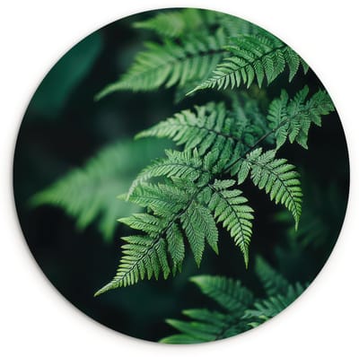 WallCircle® Wandcirkel 120x120 cm - Muurcirkel Varenblad - Groen - Structuur - Wazig - Muurdecoratie woonkamer - Wanddecoratie slaapkamer - Kamer decoratie accessoires - Ronde schilderijen XXL