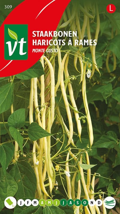 Bonen Monte Gusto - Zeer lange (tot 25 cm) en fijne boontjes