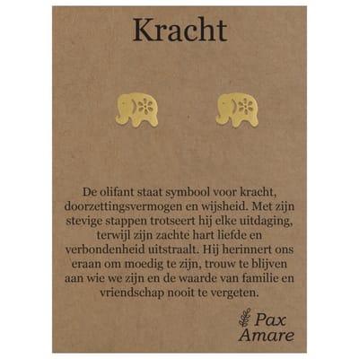 Stainless Steel Olifant Oorbellen op Cadeau Kaartje - Kracht - ± 10x10mm Oorknopjes Goudkleurig Roestvrij Staal - Pax Amare