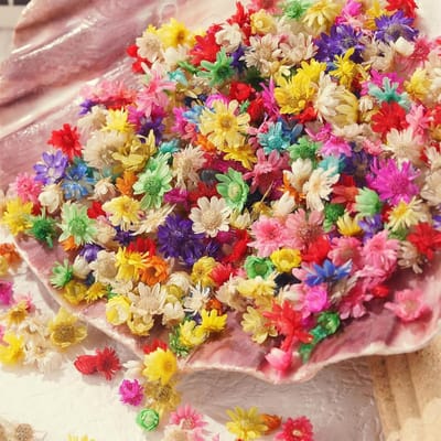 Allecto Plus - Gedroogde Bloemen Mix - 360 Stuks - Voor Kunsthandwerk, Nagels en Sieraden - Natuurlijk en Geperst - 2 gram met diverse Bloemen