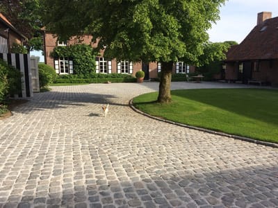 Oude Belgische Porfier Kasseien 20x14x3-5cm verkoop per pallet inhoud 440pc per M2 32pc = 13.75M2