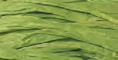 Raffia Folia rol a 30m groen -