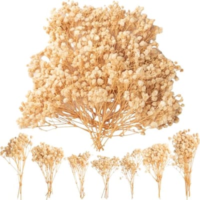 Gedroogde Gypsophila - Natuurlijke Droogbloemen voor Knutselen - 50 Stuks - Kleine Wit, Handmatige Selectie