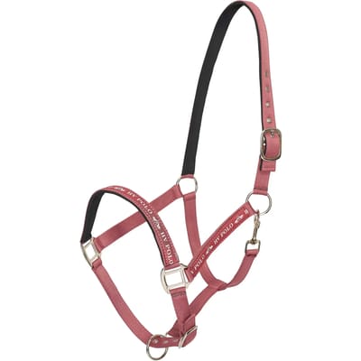 Nylon halster voor het paard HV Polo Nena