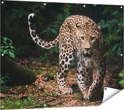 Gards Tuinposter Luipaard in het Bos - 120x90 cm - Tuindoek - Tuindecoratie - Wanddecoratie buiten - Tuinschilderij