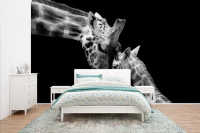 Behang - Fotobehang Giraffe - Wilde dieren - Portret - Zwart wit - Breedte 435 cm x hoogte 260 cm