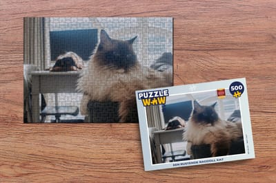 Puzzel Een rustende Ragdoll kat - Legpuzzel - Puzzel 500 stukjes