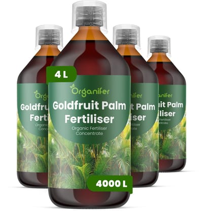 Vloeibare Meststof Voor Goudpalm 4X1 L Voor 4000 L - Npk 2-1-8 - Weelderige Groei - Versterkt Wortels Voor Betere Vochtregulatie - Vermindert Bladpuntverkleuring Door Kaliumrijke Voeding - Ideaal Voor Kamerpalmen - Organifer