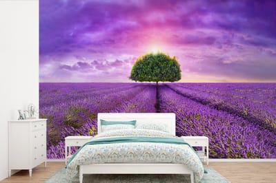 Behang - Fotobehang Lavendel - Boom - Paars - Wolken - Breedte 600 cm x hoogte 400 cm