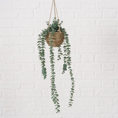 Boltze Home hangplant Eucalyptus