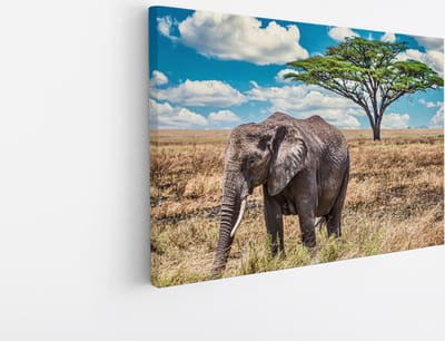 Saammp Canvas Schilderij - Olifant in de Serangeti - Natuur - Dieren - 45x30 - Foto op canvas - Wanddecoratie - Muurdecoratie Woonkamer - Slaapkamer decoratie - Canvas Print