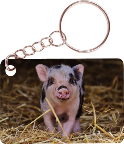 Sleutelhanger 6x4cm - Varkentje Roze/Zwart - Op Stro