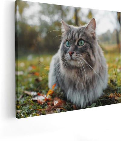 Artaza Canvas Schilderij Poes - 50x40 cm - Muurdecoratie Kat - Wanddecoratie Woonkamer - Schilderijen Op Canvas