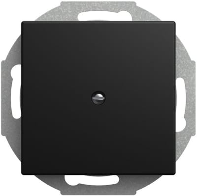 Busch-Jaeger Centrale plaat met draagring leidinguitlaat 1-voudig met draagring zwart mat - Busch-balance® SI (2527-915), 2CKA001710A4256