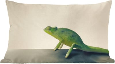 Sierkussens - Kussentjes Woonkamer - 60x40 cm - Kameleon - Groen - Minimalistisch