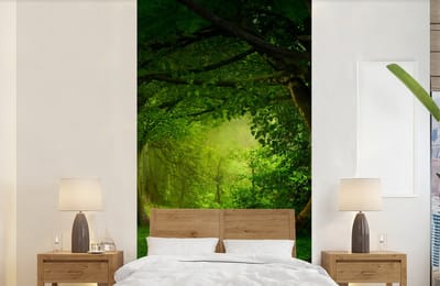 Behang - Fotobehang Bomen - Bos - Groen - Landschap - Natuur - Breedte 120 cm x hoogte 240 cm