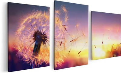 Artaza Canvas Schilderij Drieluik Paardenbloem Tijdens Zonsondergang - 120x60 - Foto Op Canvas - Canvas Print