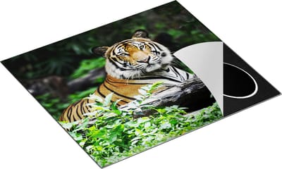 Chefcare Inductie Beschermer Tijger in het Bos - 60x50 cm - Afdekplaat Inductie - Kookplaat Beschermer - Inductie Mat