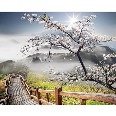 Volledige ronde boor diamant schilderij boom bloemen landschap mozaïek zon landschap natuur strass sets 20X30CM gray